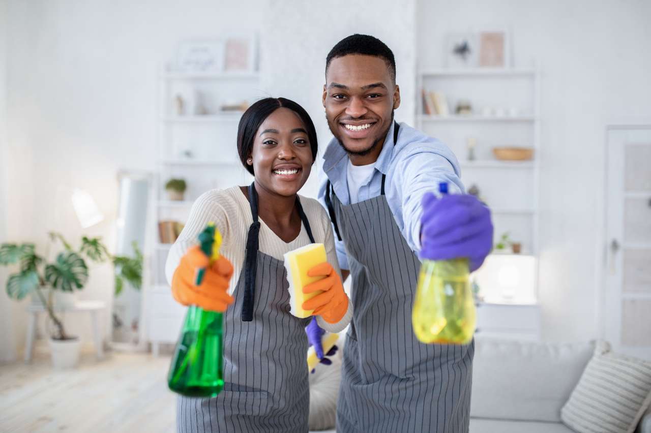 professional cleaning services